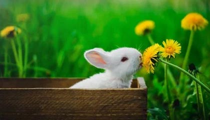 开云登录入口地址-张博源社媒分享访校明尼苏达大学日常，配文：M